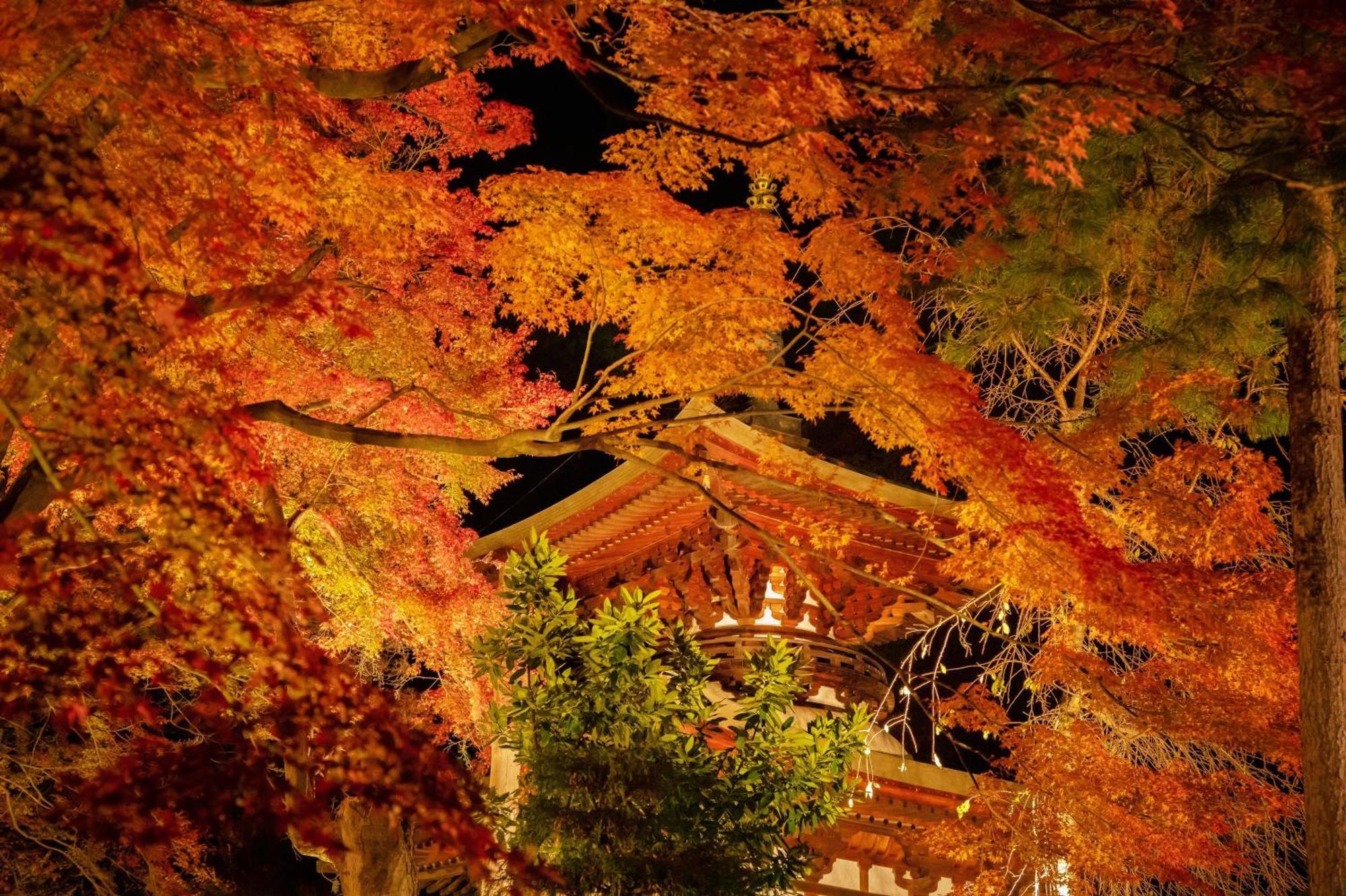 Hotel Kamisuwa Onsen Shinyu Exterior foto